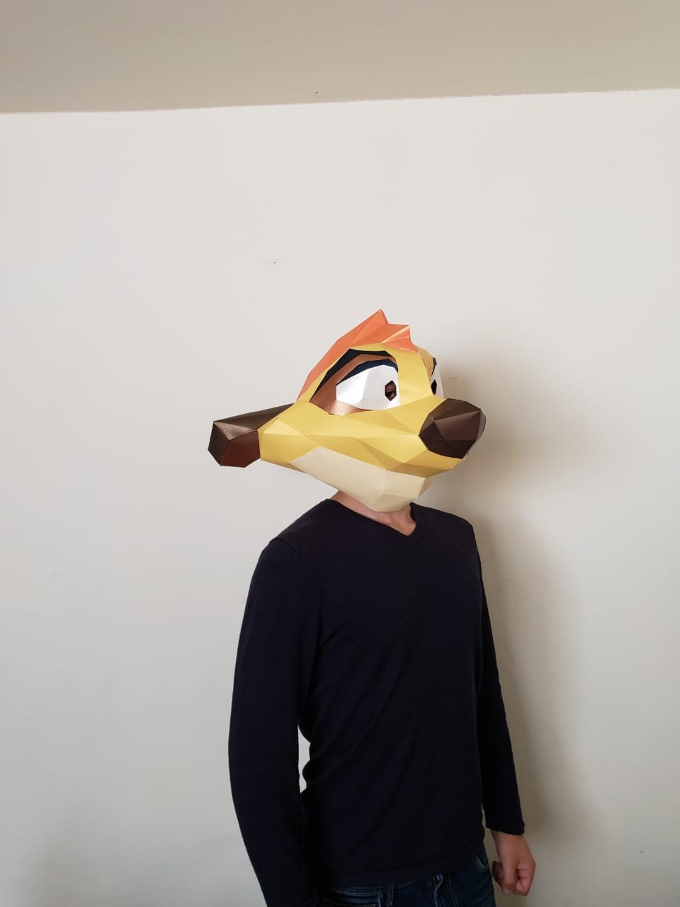 timon lion king mask